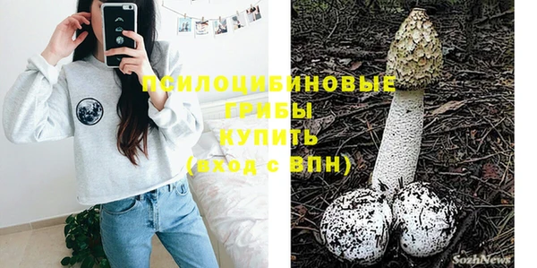 шишки Медногорск