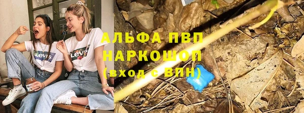 прущий лед Михайлов