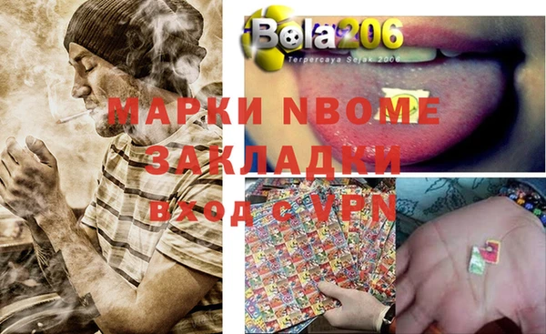 шишки Медвежьегорск